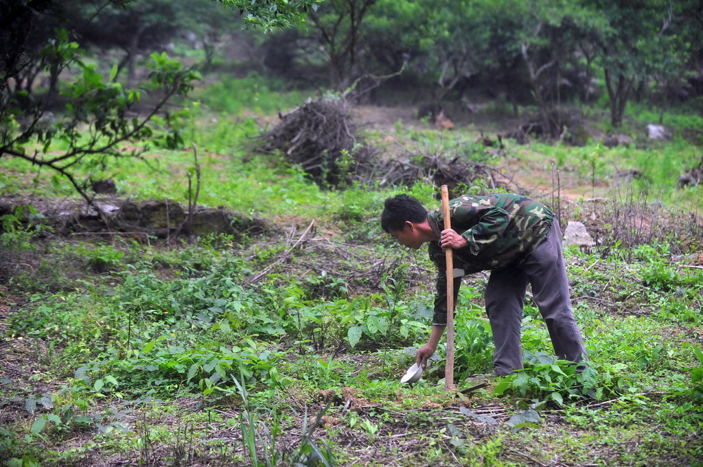 2013��5��14�գ��������ڸ�������ʩ�ʡ��»������ ��Т�� ��