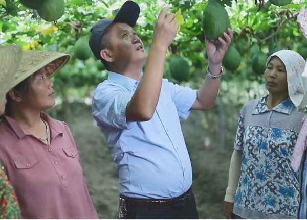 安徽儂安康食品：開創 “公司+村集體+貧困戶”的瓜蔞種植產業扶貧模式