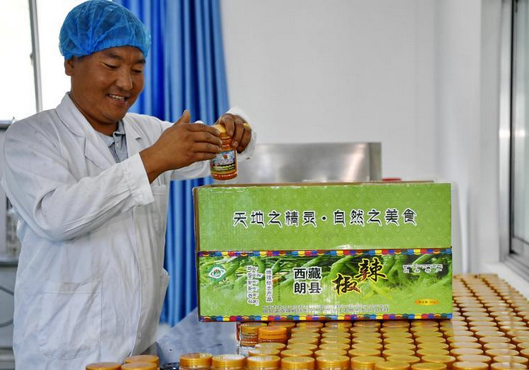 專業合作社助53萬多名西藏農牧民脫貧致富